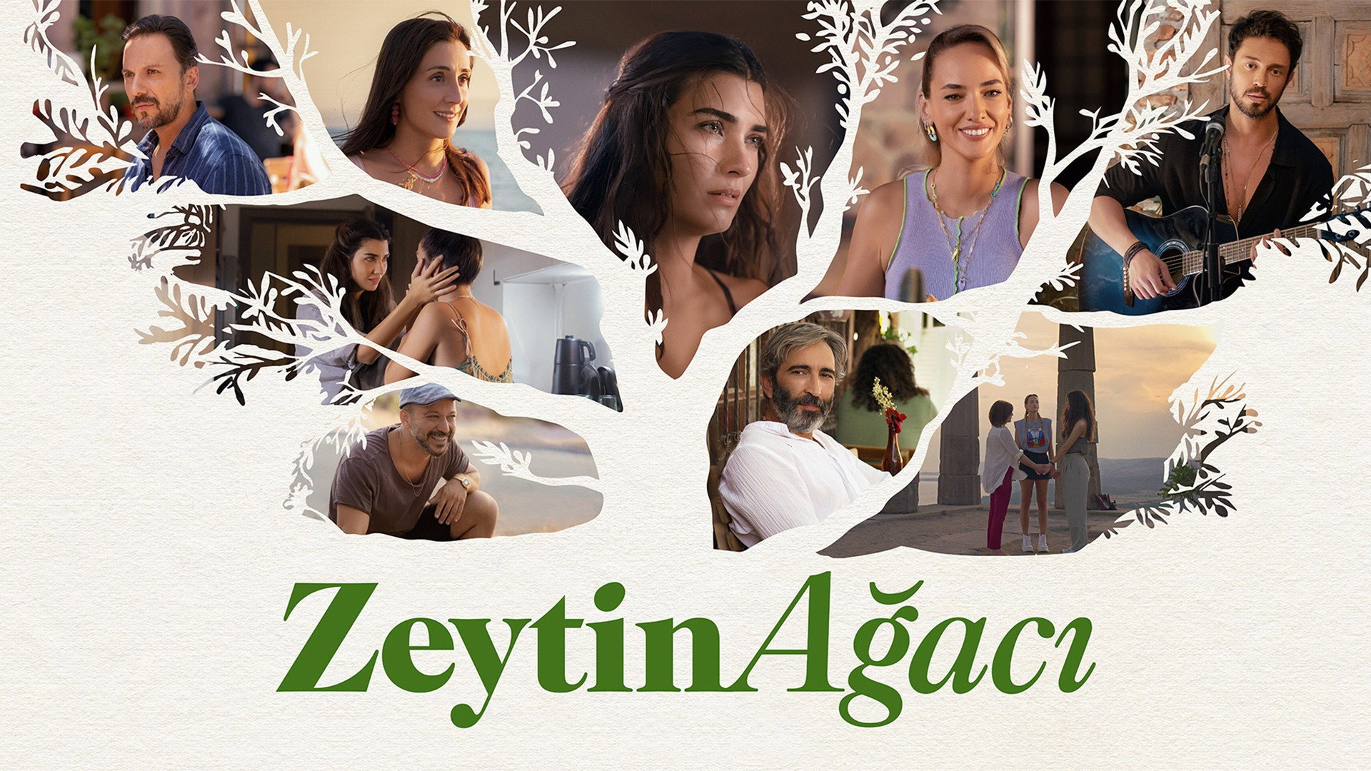 Zeytin Ağacı Galeri 2