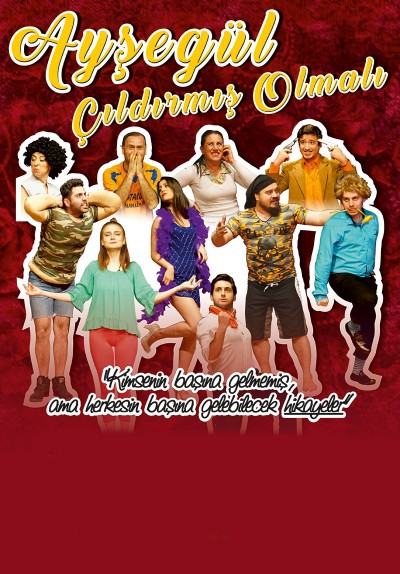 Ayşegül Çıldırmış Olmalı Poster