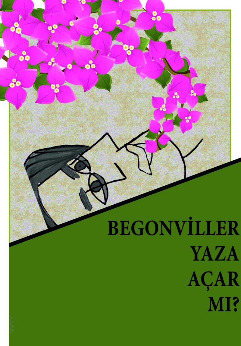 Begonviller Yaza Açar...
