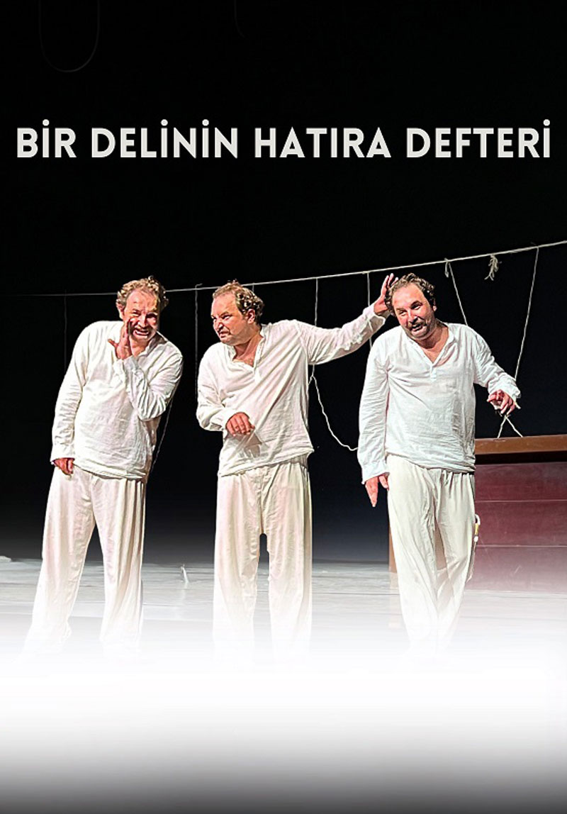 Bir Delinin Hatıra Defteri Poster