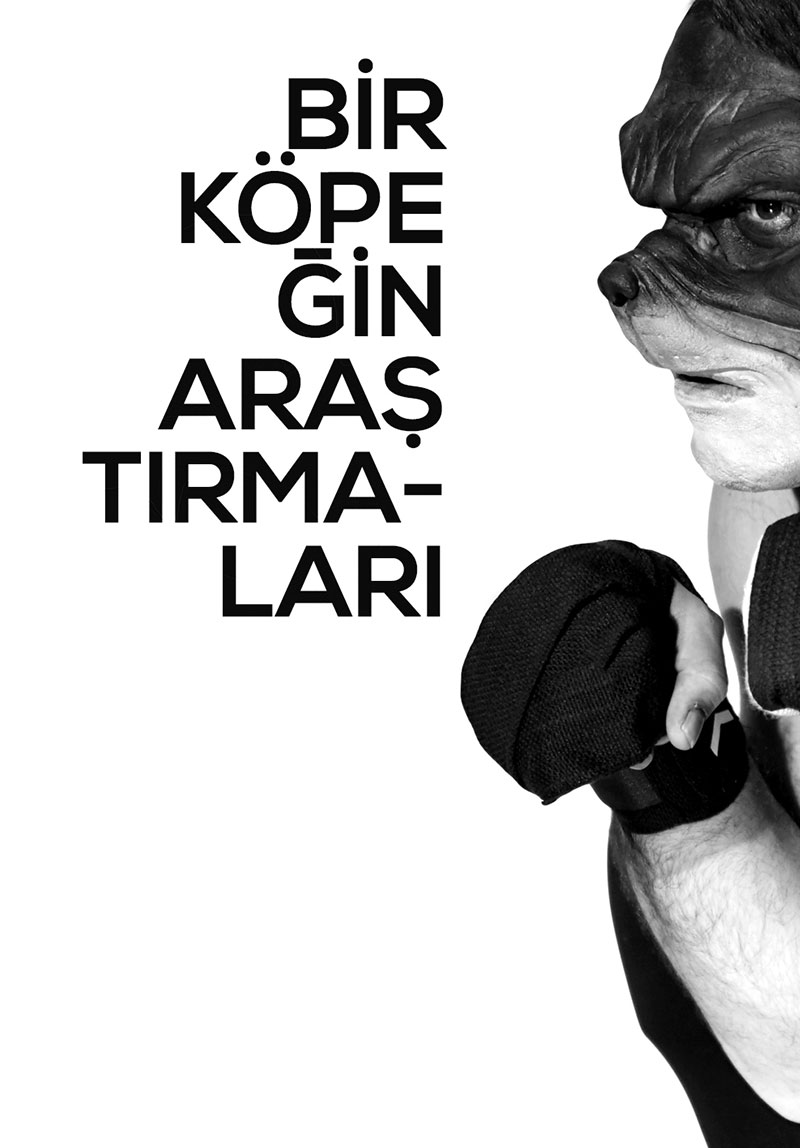 Bir Köpeğin Araştırmaları