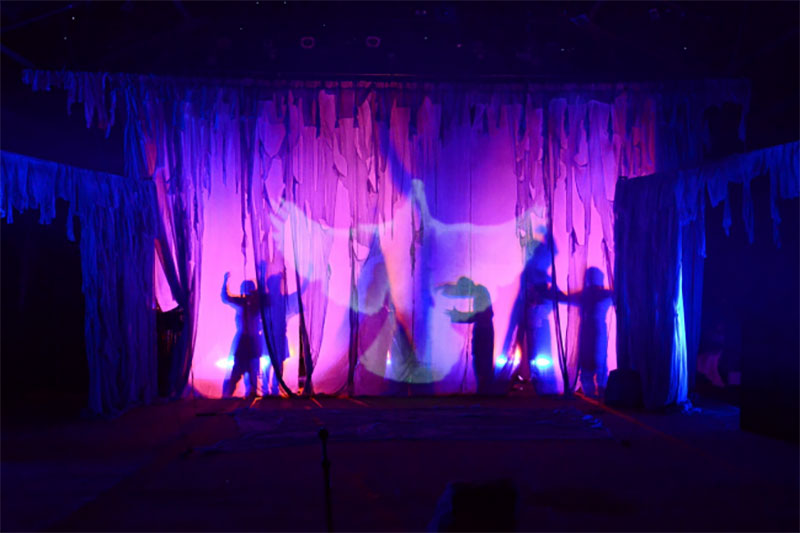 Divane Ağaç (Yunus Emre) Galeri 3