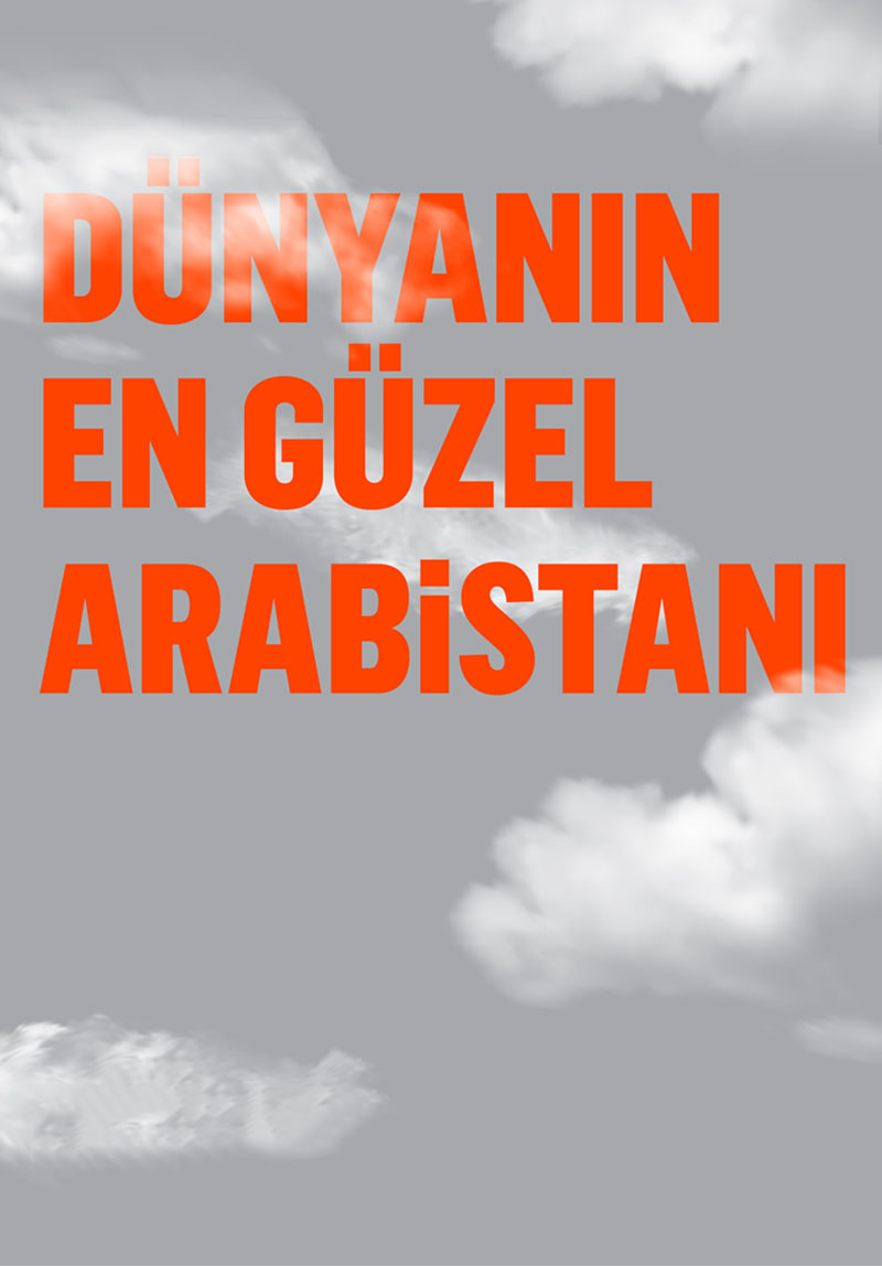 Dünyanın En Güzel Arabistanı Galeri 4