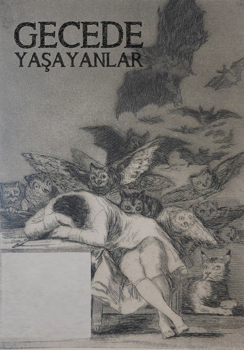 Gecede Yaşayanlar