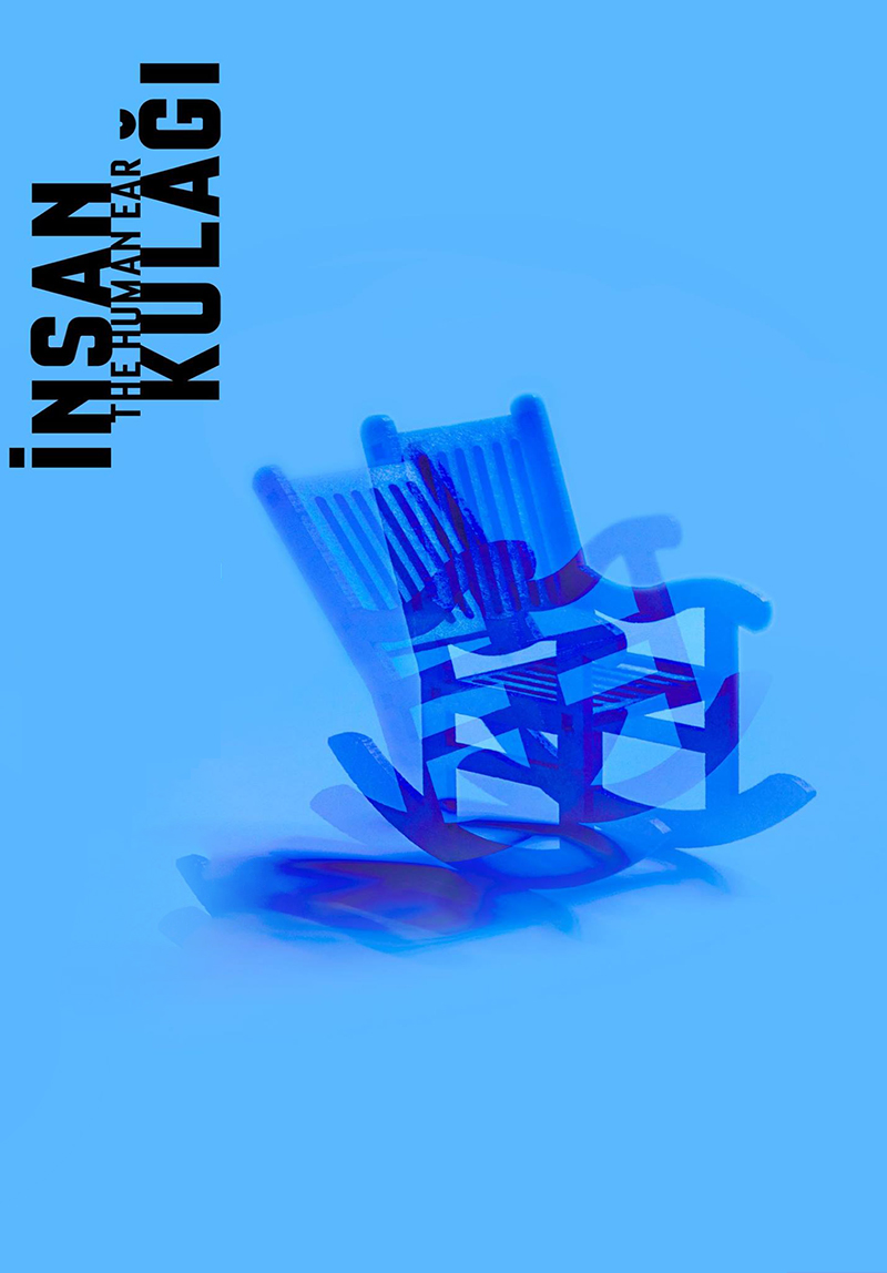 İnsan Kulağı Galeri 2