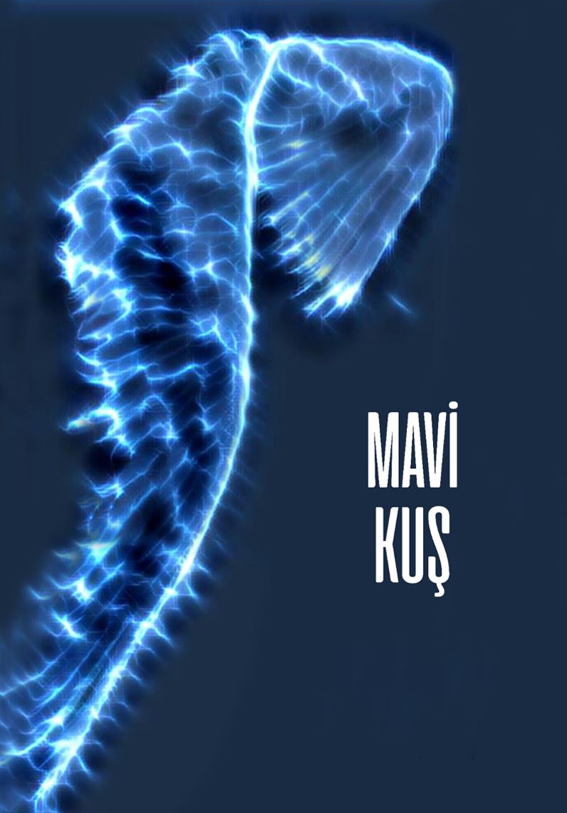 Mavi Kuş Poster
