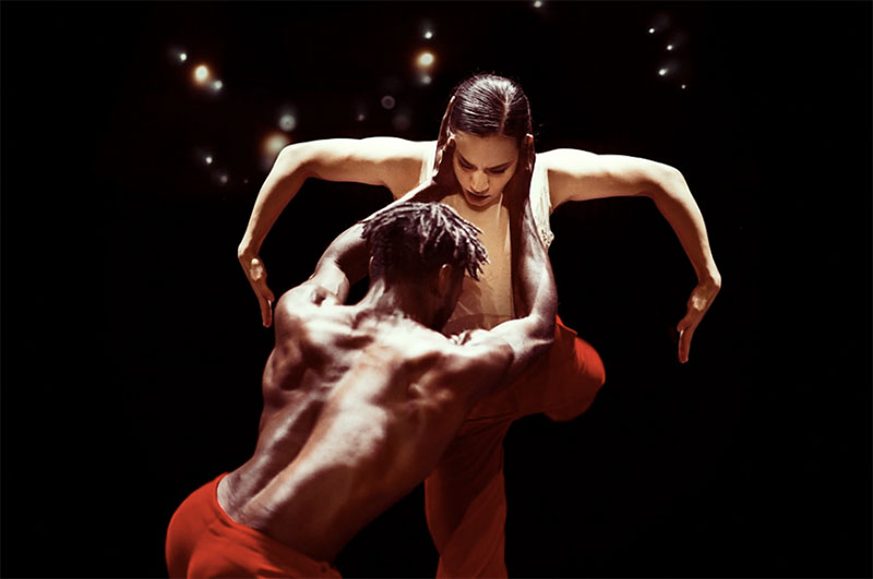 Nederlands Dans Theater I Galeri 2