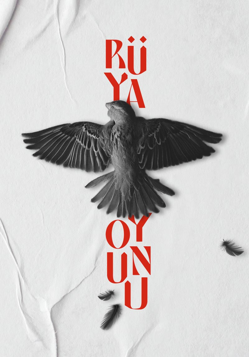 Rüya Oyunu Poster