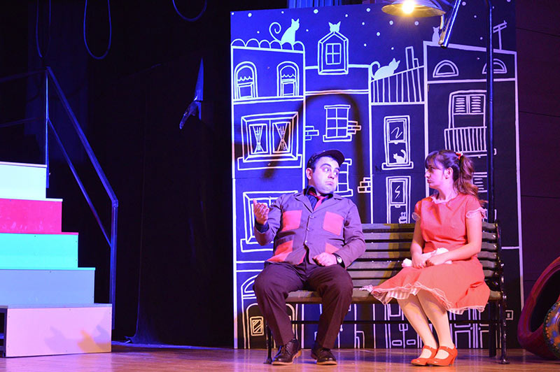 Sokak Kedileri Galeri 4