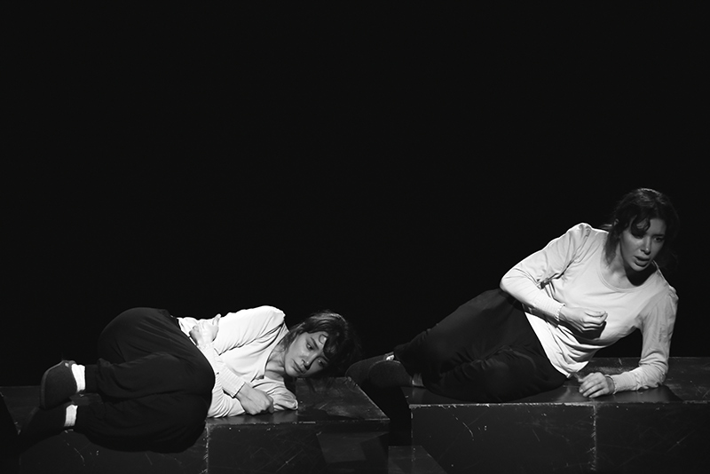 Tilkiler ve Kötü Kalpli İtler Galeri 9