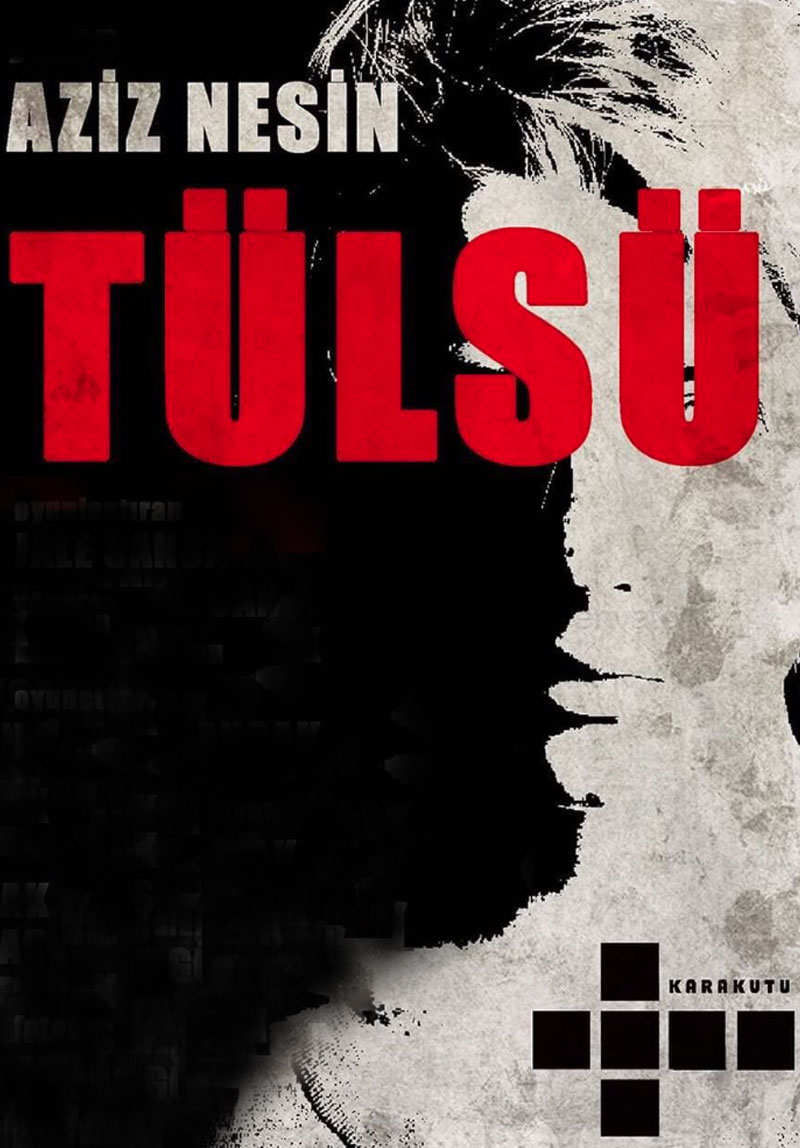 Tülsü