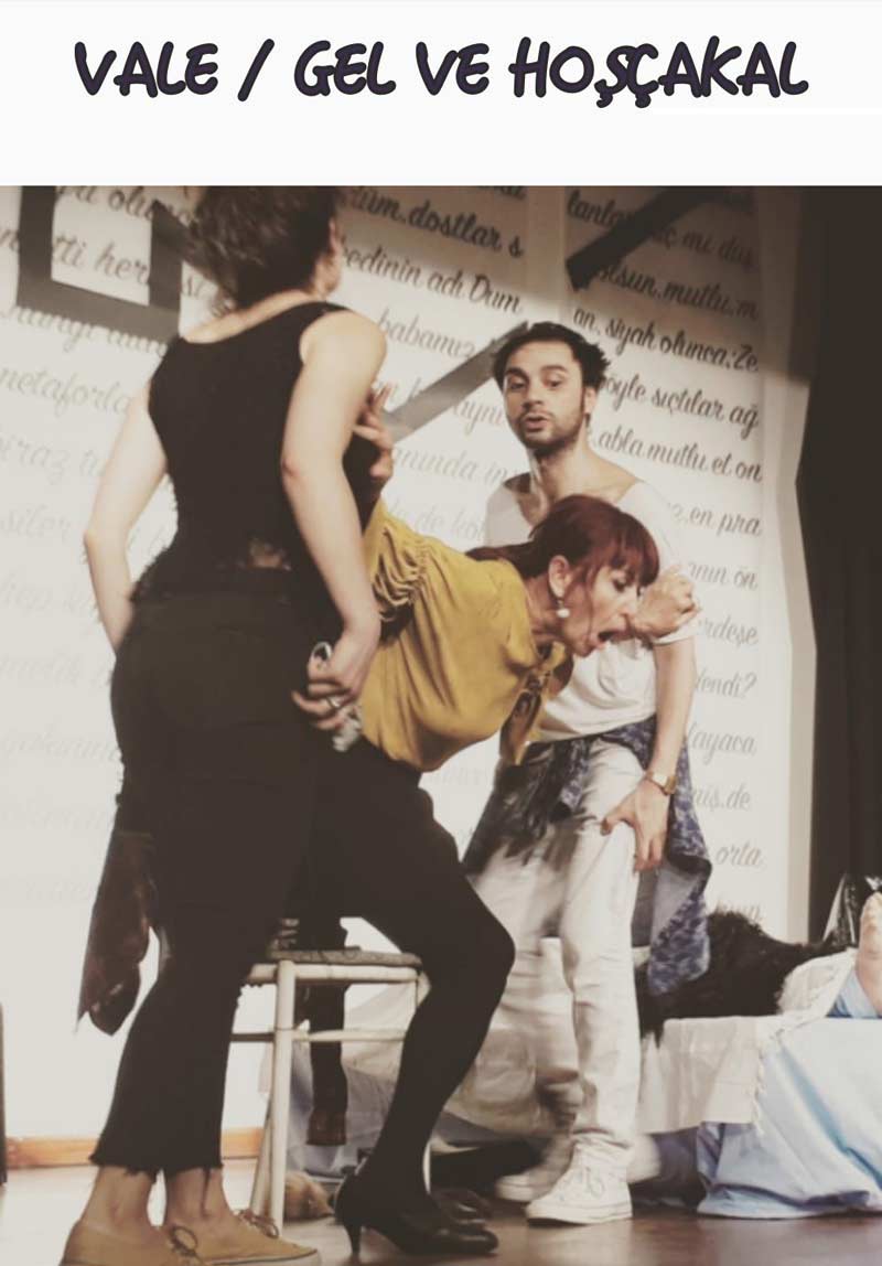 Vale Gel ve Hoşçakal Poster